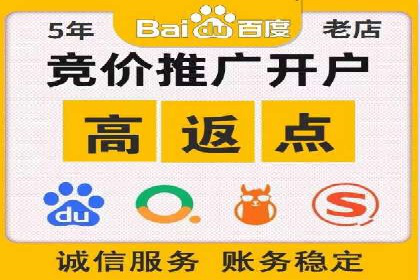 百度SEM竞价推广成功案例：某电商平台的营销奇迹